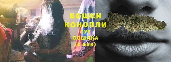 твердый Горняк