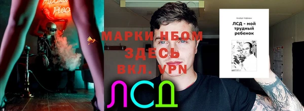 твердый Горняк