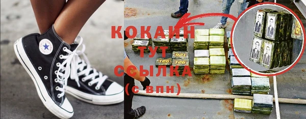 твердый Горняк