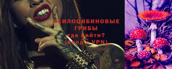 мяу мяу кристалл Гусь-Хрустальный