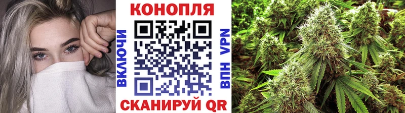 Конопля White Widow  Купить где  Краснознаменск 